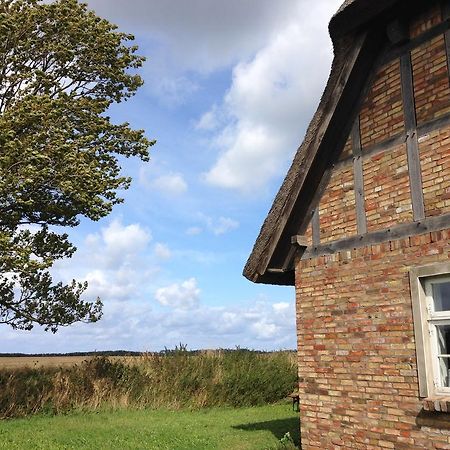 Ferienwohnung Rügen in Putgarten Exterior foto